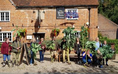 The Annual Cabbage Walking Stick Competition – 2020